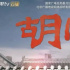 “胡同”里不僅有煙火，也有基層工作者的逐夢芳華