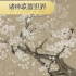 小花飛升頂流的密碼找到了 竟然是靠它？