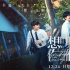 《想見你》成平安夜票房黑馬，《阿凡達2》上座率創(chuàng)新高
