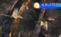 电影《阿凡达》传递了什么理念？