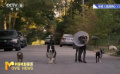 喜剧电影《流浪狗》发布预告 汪汪队开启复仇模式