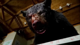《可卡因熊》曝光片段 动物袭击人类