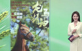 萬物萌發(fā) 各路新片喜迎“龍?zhí)ь^”