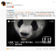 黄晓明、李宇春等为熊猫丫丫发声：国宝早日回家