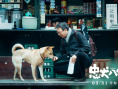 電影《忠犬八公》定檔3.31 經(jīng)典故事注入中國味兒