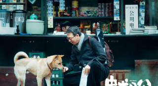 電影《忠犬八公》定檔3.31 經(jīng)典故事注入中國味兒