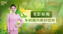 1905影视频：光影展现乡村振兴美好图景