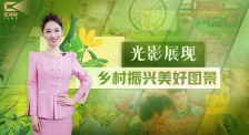 1905影视频：光影展现乡村振兴美好图景