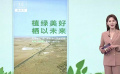 植樹節(jié)播種希望 給現(xiàn)在和未來