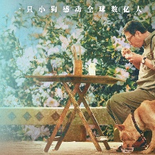 忠犬八公