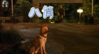 电影《忠犬八公》发布特辑 狗狗超会演
