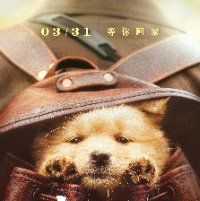 忠犬八公