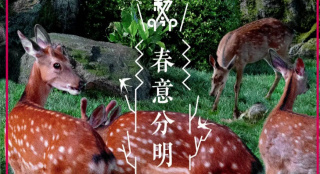 這個春天你最想看哪部電影？