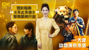 1905影视频：电影中的动物演员们