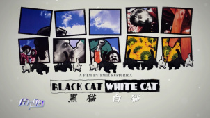 《黑猫白猫》推介：受到观众认可，票房成绩喜人