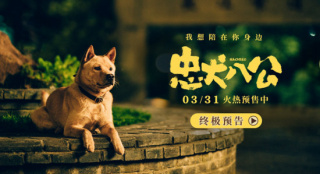 《忠犬八公》曝終極預(yù)告 八筒詮釋“認(rèn)定即終生”