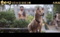 #忠犬八公狗狗等待主人催泪名场面#