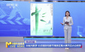 共绘光影梦 北京国际电影节海报征集大赛开启大众终审
