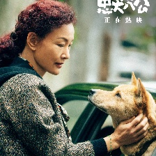 忠犬八公