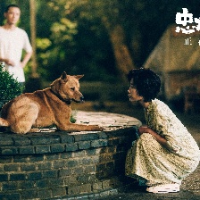 忠犬八公