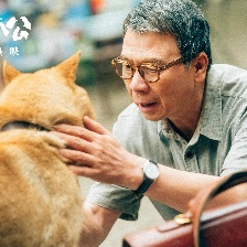 忠犬八公