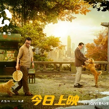 忠犬八公