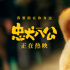 《忠犬八公》发布片尾曲MV 八筒与主人双向奔赴