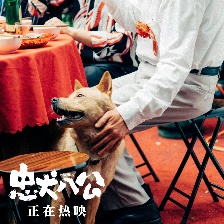 忠犬八公