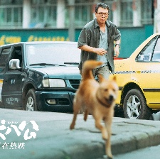 忠犬八公