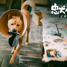 忠犬八公