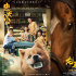 周票房：《龙马精神》夺周冠 《忠犬八公》破2亿