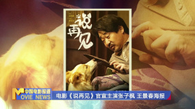 電影《說再見》官宣主演張子楓 王景春海報(bào)