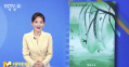 你好，北影节！春天来北京看世界最好的电影