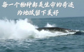 世界地球日 守護(hù)地球你我一起行動(dòng)