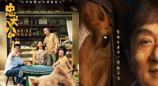 這些動物演員，如何讓我們化身“銀幕鏟屎官”？