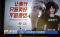 杨紫主演公益宣传片  呼吁保护濒危野生动物
