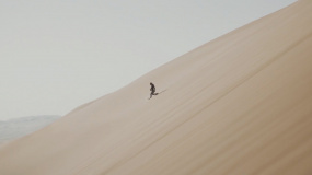 丹尼斯·维伦纽瓦执导的《沙丘2》发布先导预告