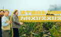 《漫長的季節(jié)》：這個“響指”，悲喜交加