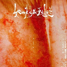 她比烟花更灿烂