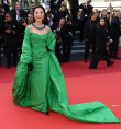 女王范十足！杨紫琼穿翡翠绿礼服亮相戛纳红毯