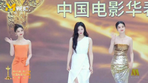毛晓彤 江疏影 乔欣亮相华表奖红毯