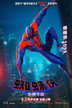 《蜘蛛俠：縱橫宇宙》驚現(xiàn)《毒液》陳太太！全員海報曝光
