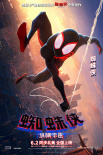 《蜘蛛侠：纵横宇宙》惊现《毒液》陈太太！全员海报曝光