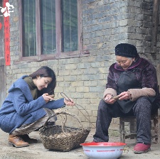 故乡异客