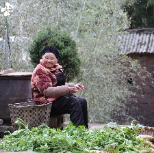 故乡异客