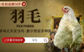 送码