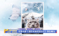 华表奖后台“最萌嘉宾”揭开面纱 《雪豹和她的朋友们》预告曝光