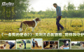 《一條狗的使命2》影評：貝利開啟新旅程，陪伴和守護(hù)主人