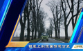 銀幕上的德國詩意世界