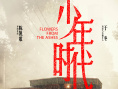 少年时代
